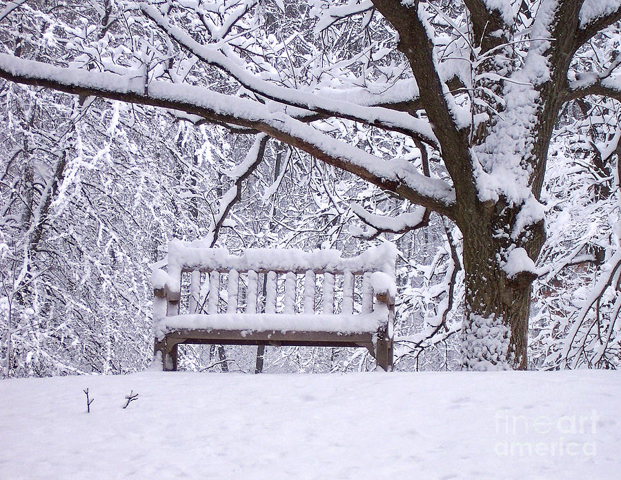 Winter Bench Photograph by Phil Perkins