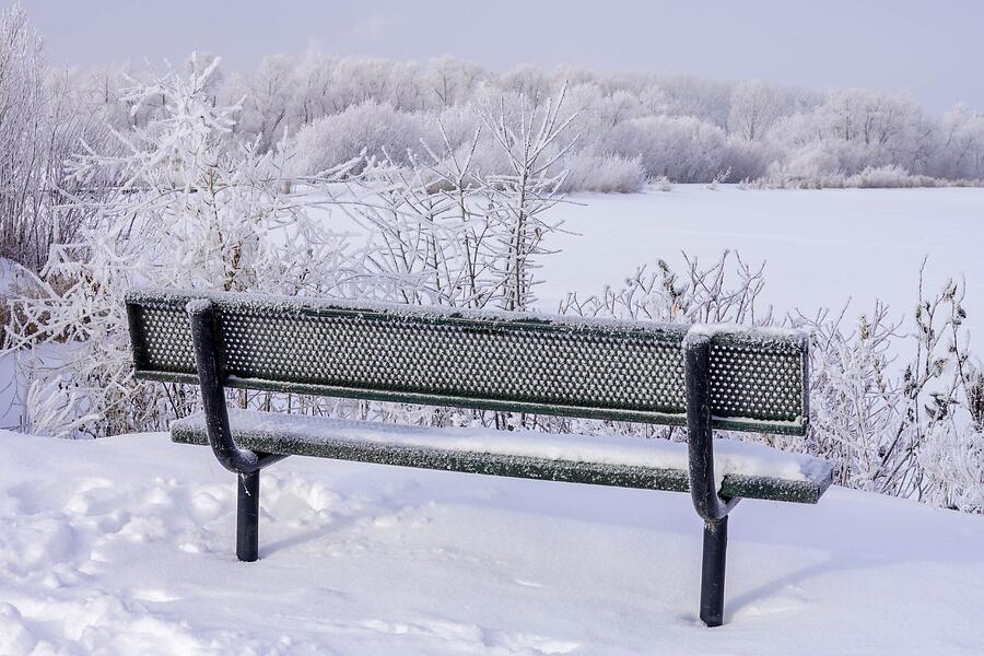 Winter Bench Photograph by Susan Rydberg