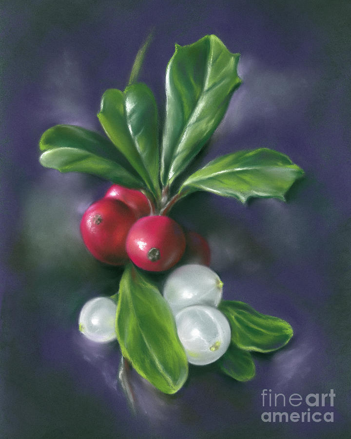 Winter Berries Holly and Mistletoe Painting by MM Anderson