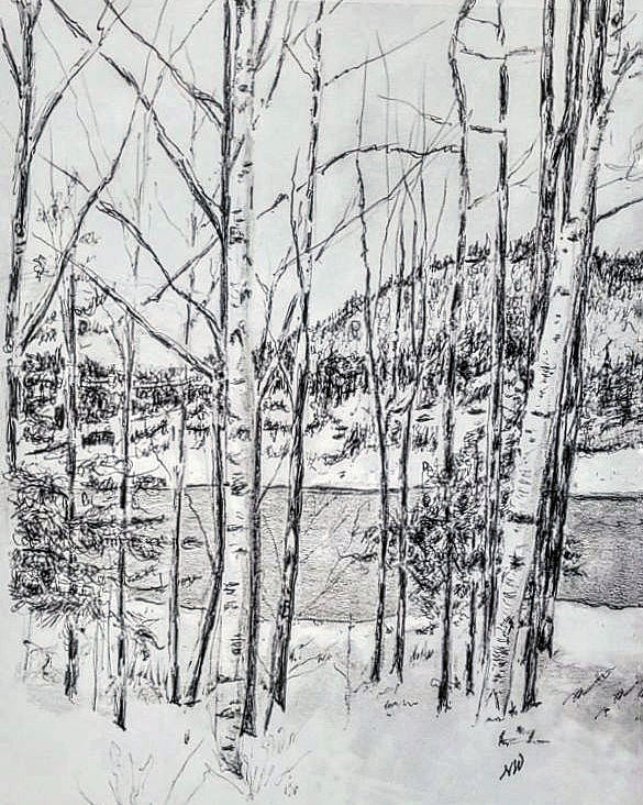 Winter Birch Trees Drawing by Nancy Wilt - Fine Art America