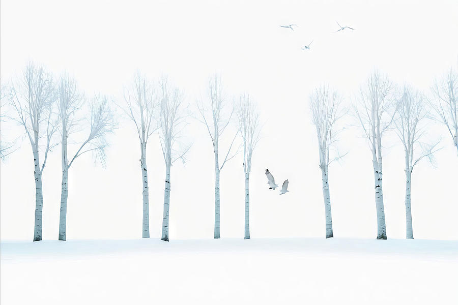 Winter - Birds and Trees Digital Art by Robert Bissett