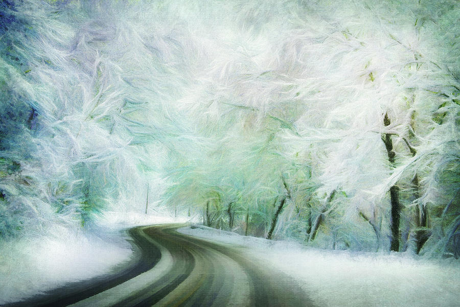 Winter Blue Path Digital Art by Terry Davis