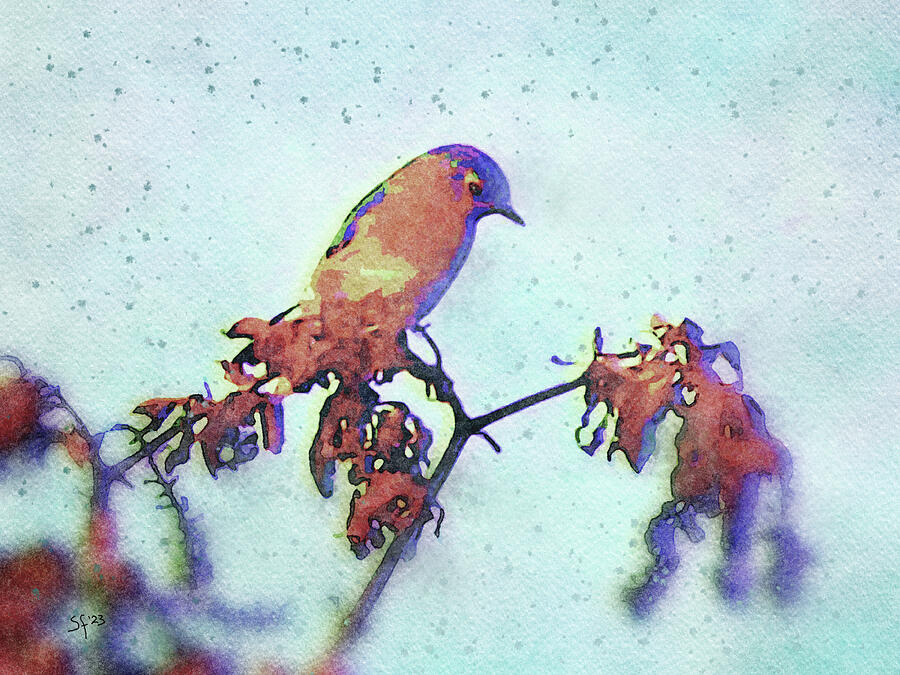 Winter Bluebird on a Branch Digital Art by Shelli Fitzpatrick