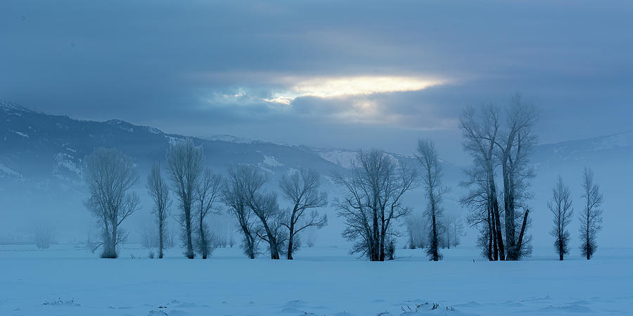 Winter Blues Grand Teton National Park Photograph by Douglas Wielfaert