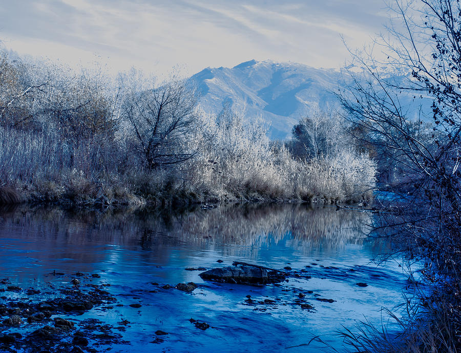 Winter Blues Photograph by Len Bomba