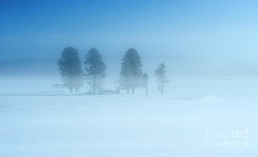 Yellowstone National Park Photograph - Winter Blues by Sandra Bronstein