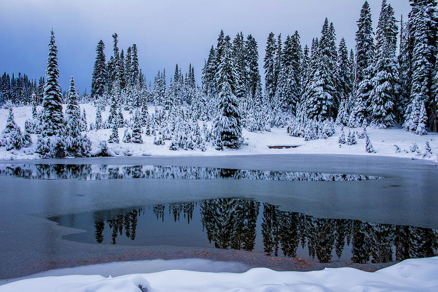 Winter blues with reflections Photograph by Lynn Hopwood