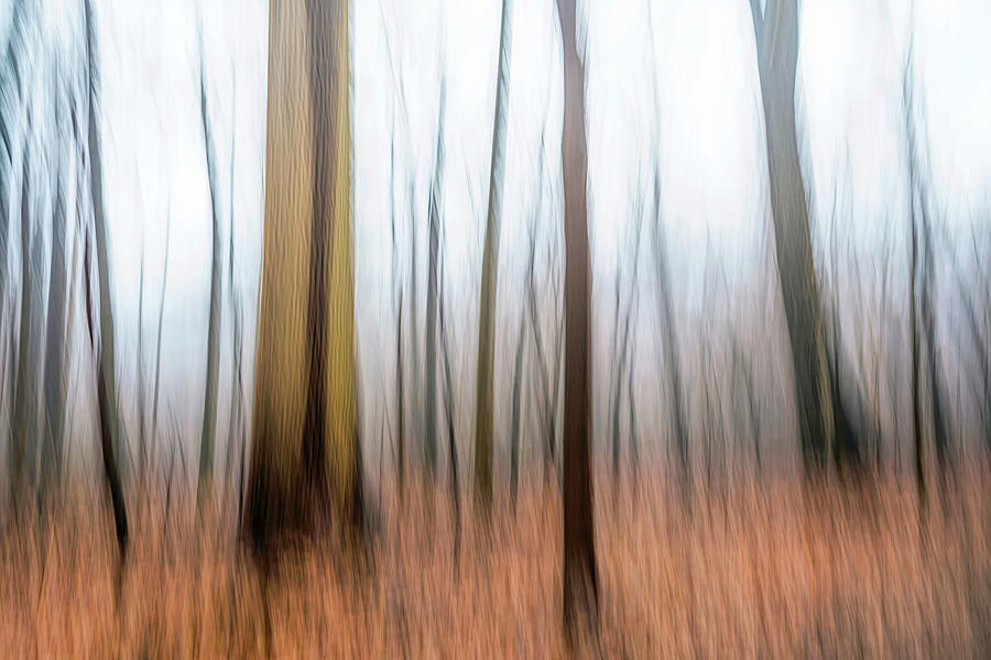 Winter Blur Photograph by June Marie Sobrito