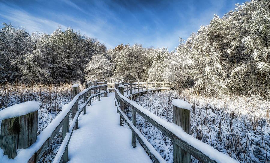 Winter Boardwalk Photograph by Brad Bellisle