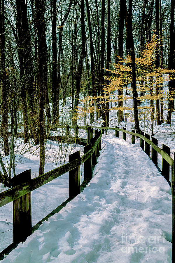 Winter Boardwalk Path in a Park in Maryland Photograph by William Kuta