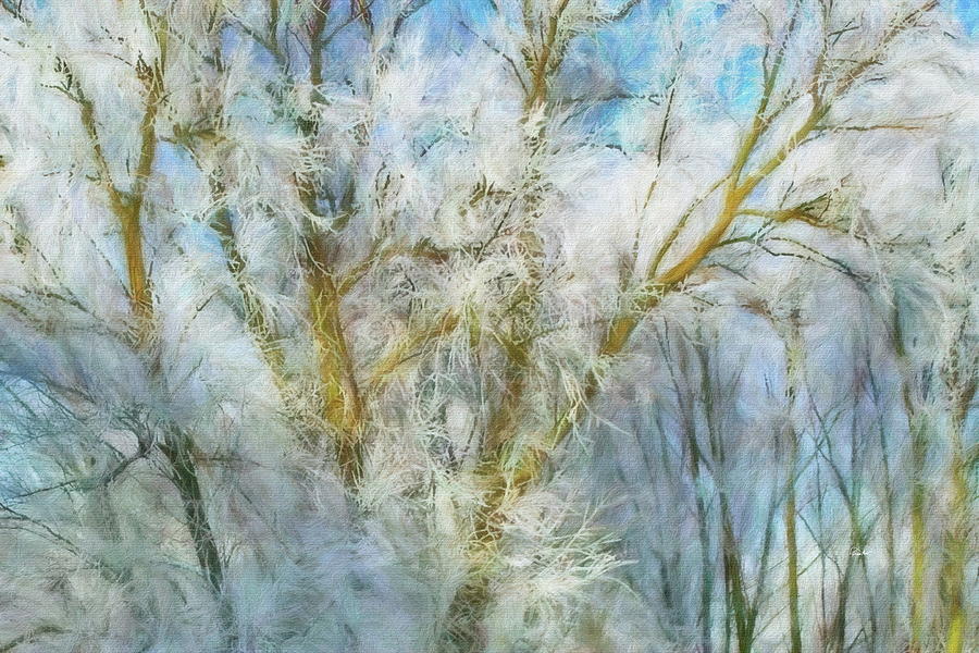 Winter Branches Digital Art by Russ Harris