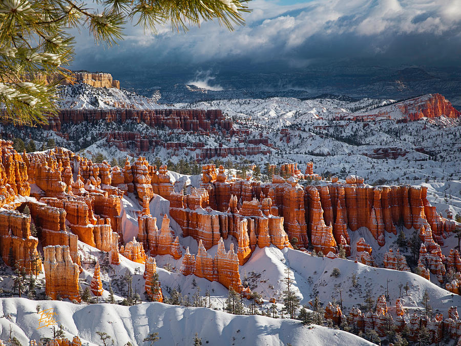 Bryce Canyon National Park Photograph - Winter Breeze by Edgars Erglis