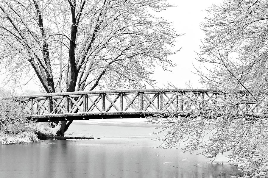 Winter Bridge Photograph by Susie Loechler