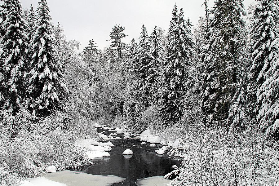 Winter Brook Photograph by Wayne Toutaint