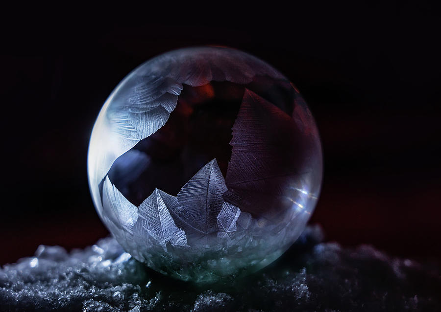 Winter bubbles III Photograph by Jaroslaw Blaminsky