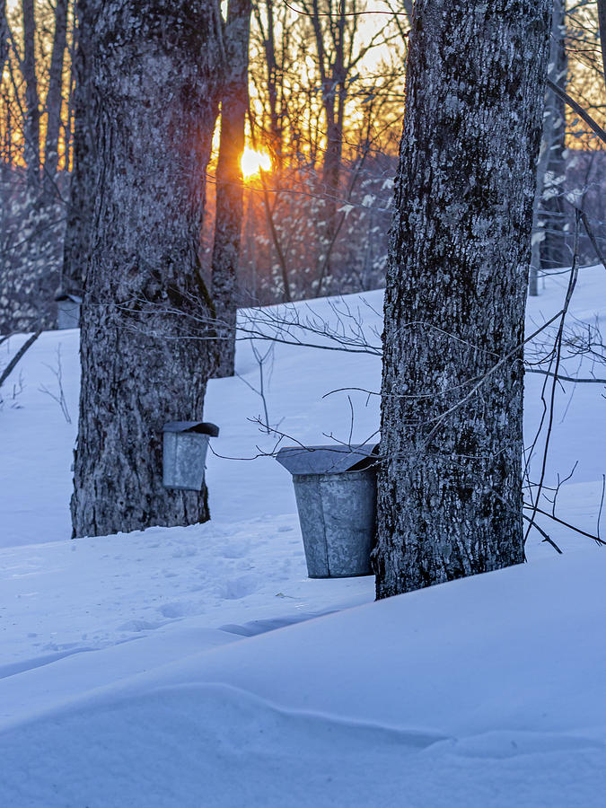 Winter Buckets Photograph by Tim Kirchoff