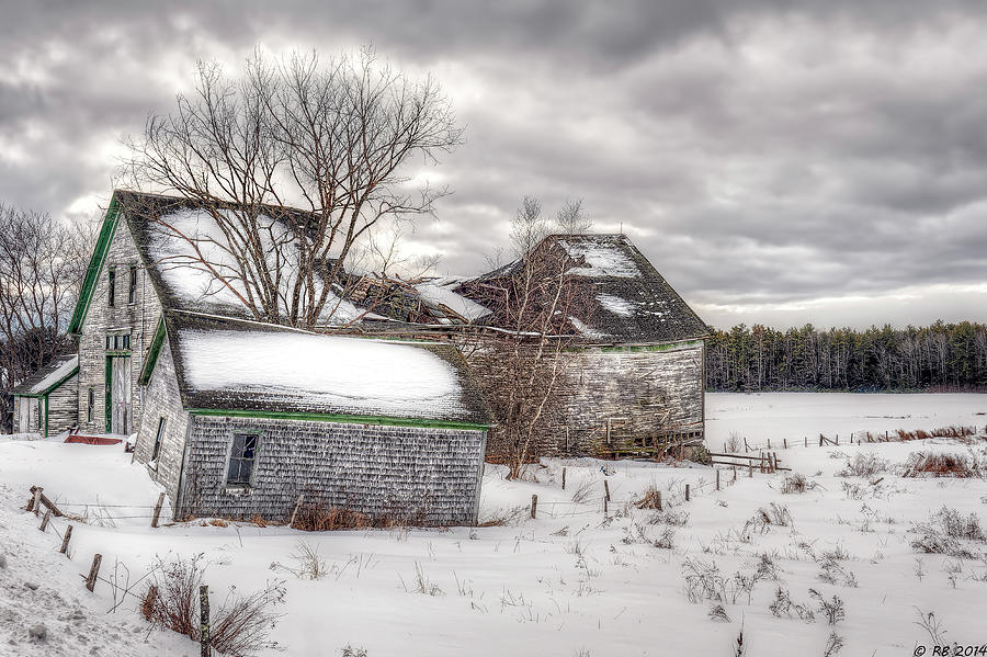 Winter Burden Photograph by Richard Bean