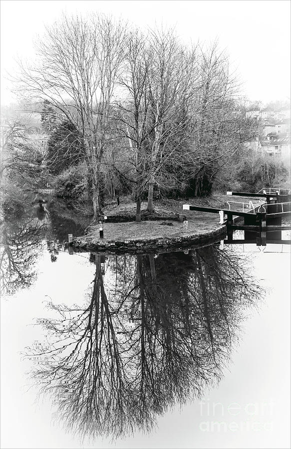 Winter by the canal Photograph by Colin Rayner