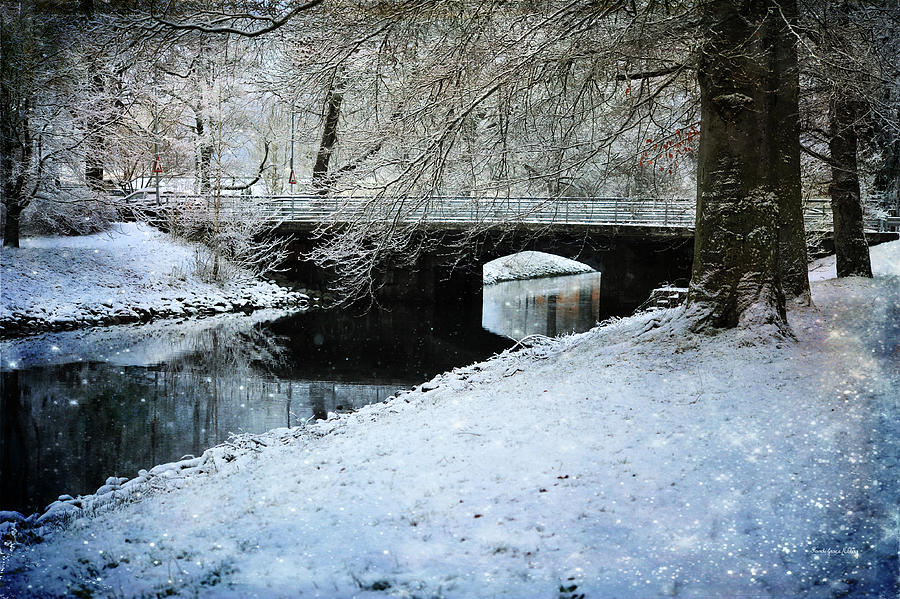 Winter By The Canal Photograph