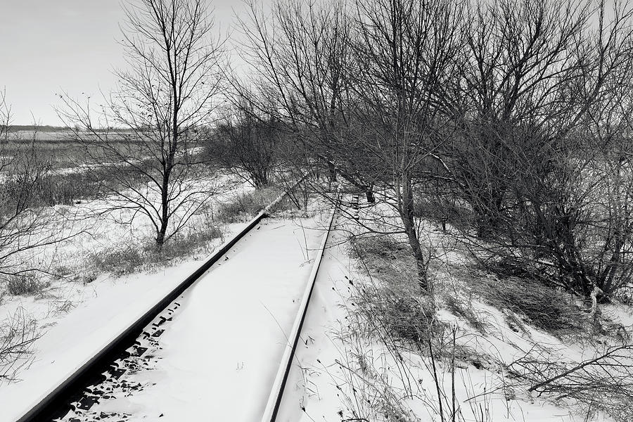 Winter by the Rails Photograph by Scott Kingery