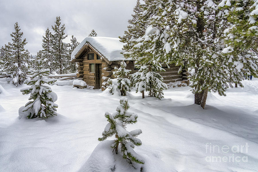 Winter Cabin Photograph by Roxie Crouch