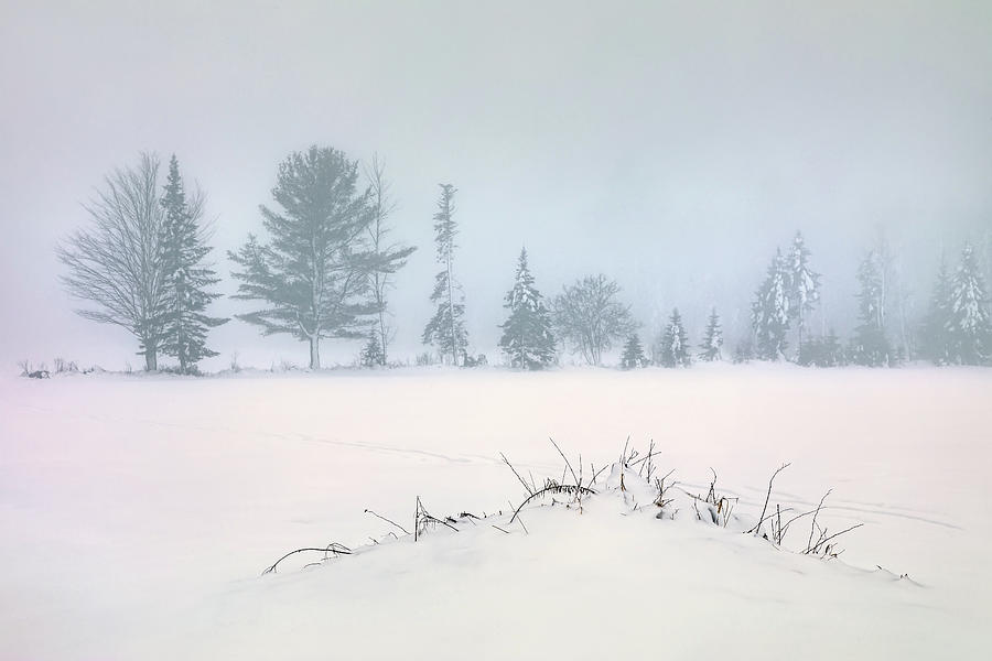 Winter Calm 34a3317 Photograph by Greg Hartford