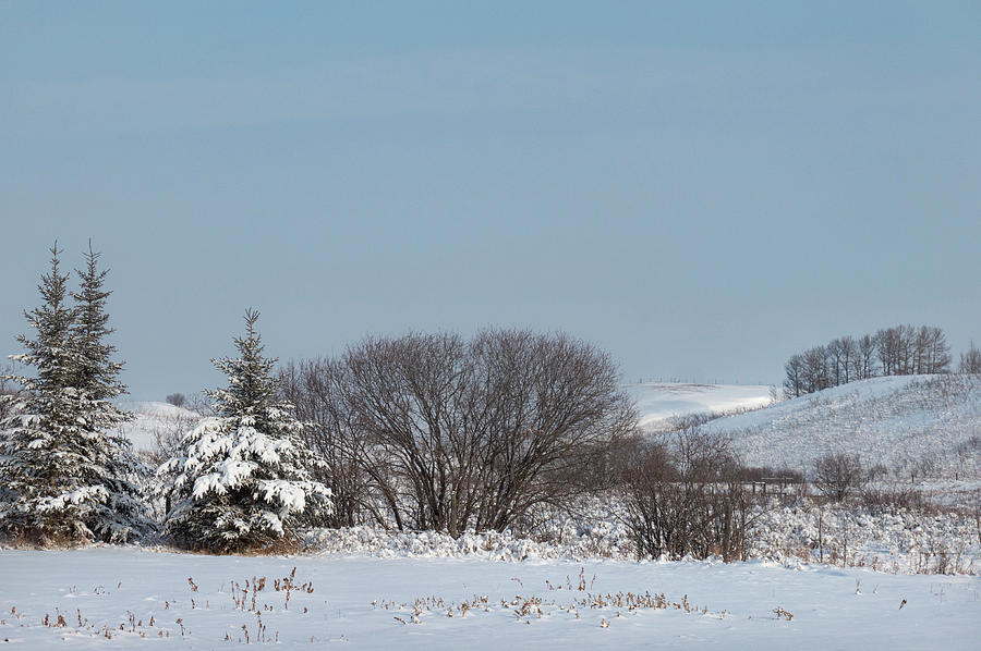 Winter Photograph - Winter Canadian prairie landscape by Phil And Karen Rispin
