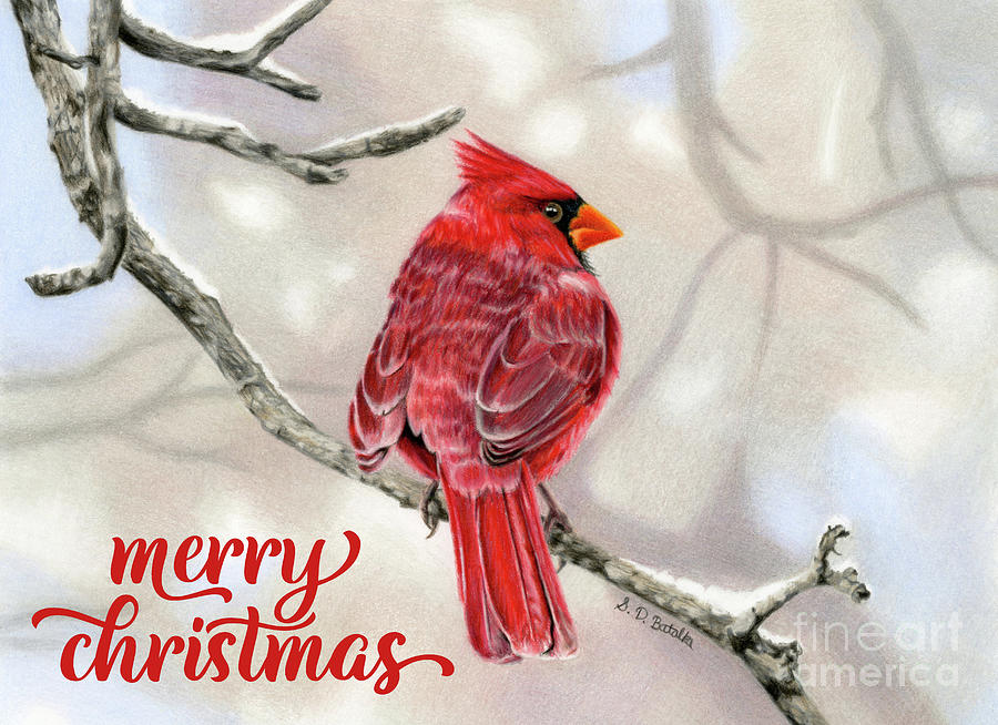 Winter Cardinal Merry Christmas Cards Painting By Sarah Batalka