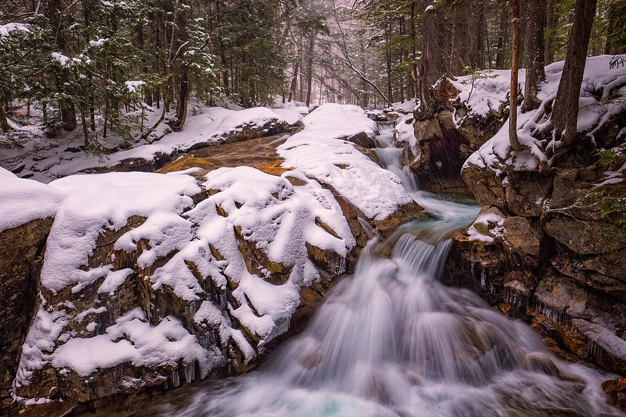 Winter Cascade Photograph by Jeff Sinon