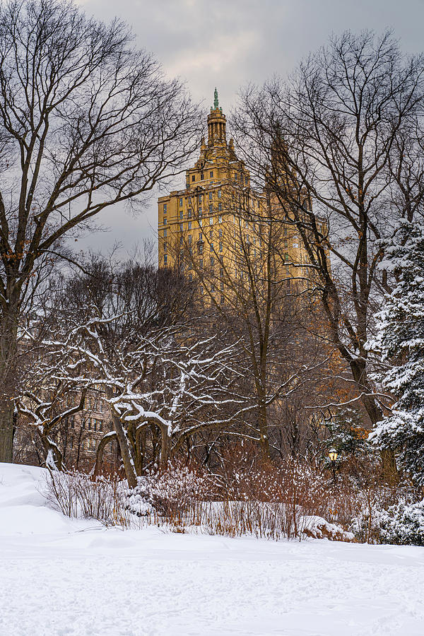 Winter Central Park Photograph by Chris Lord