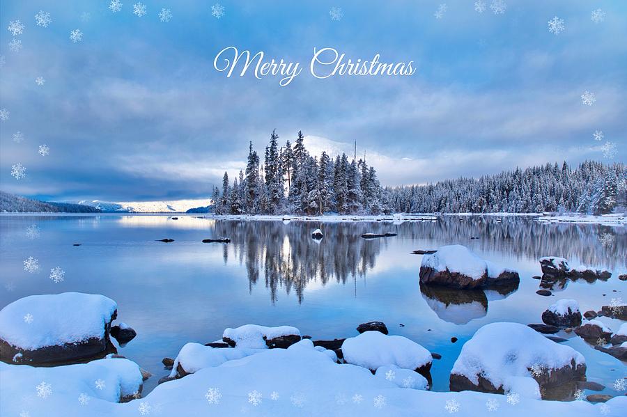 Winter Christmas card Photograph by Lynn Hopwood
