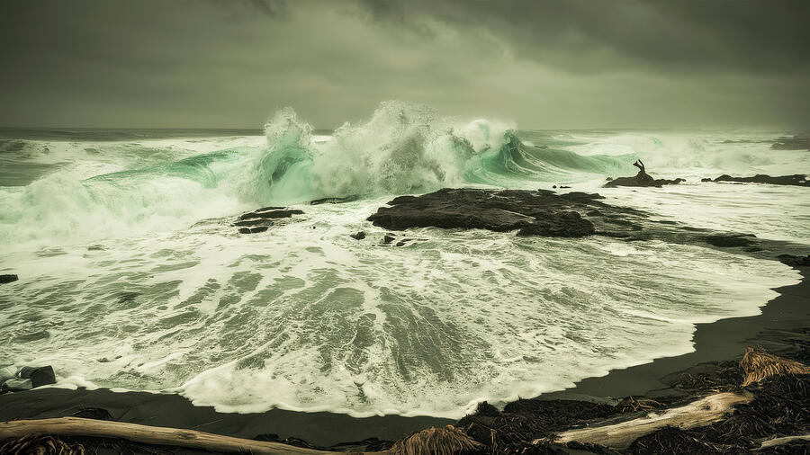Winter Coast Photograph by Bill Posner