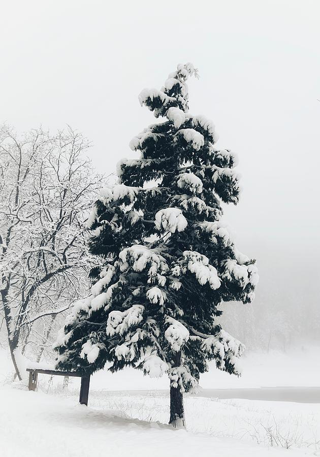 Winter Coat Photograph by Steph Gabler