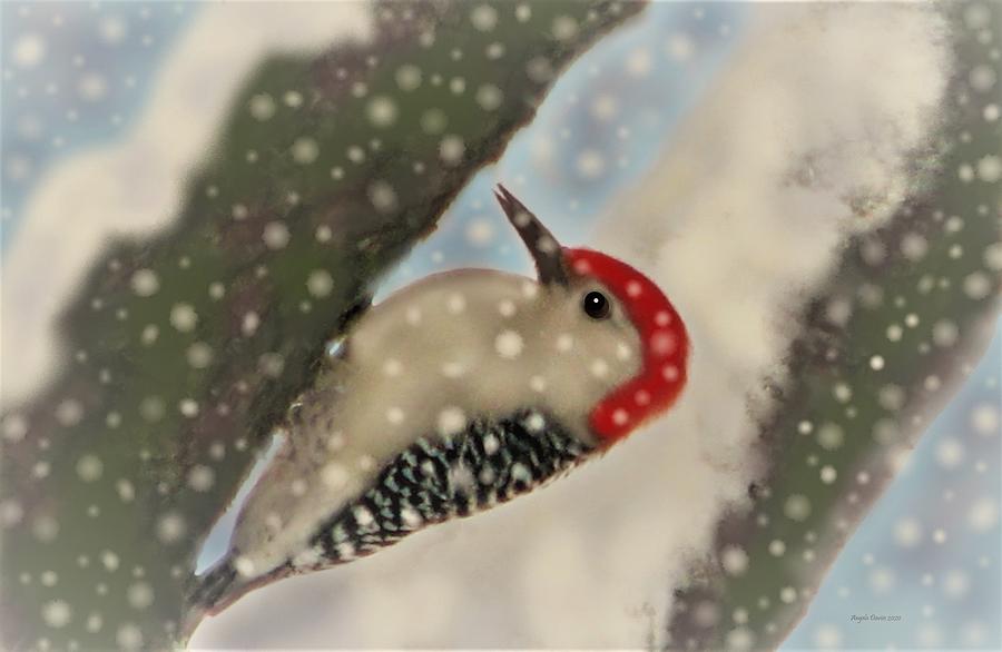 Winter Companion by Angela Davies Winter Companion by Angela Davies