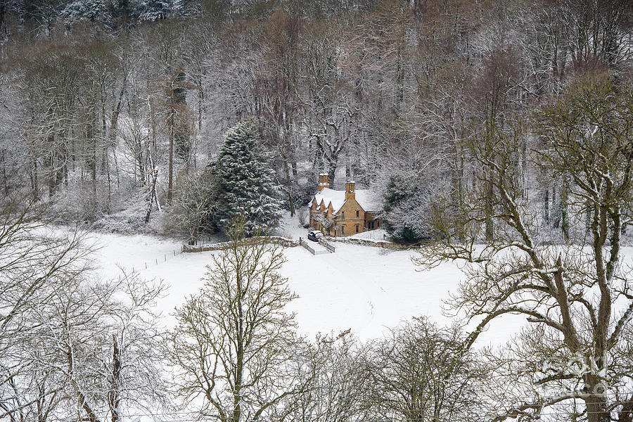 Winter Cottage in the Woods Photograph by Tim Gainey