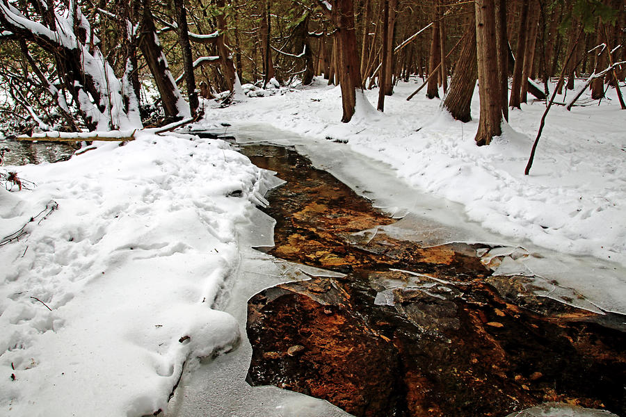Winter Creek Photograph by Debbie Oppermann