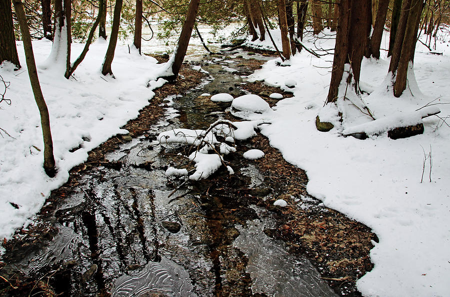 Winter Creek I Photograph by Debbie Oppermann