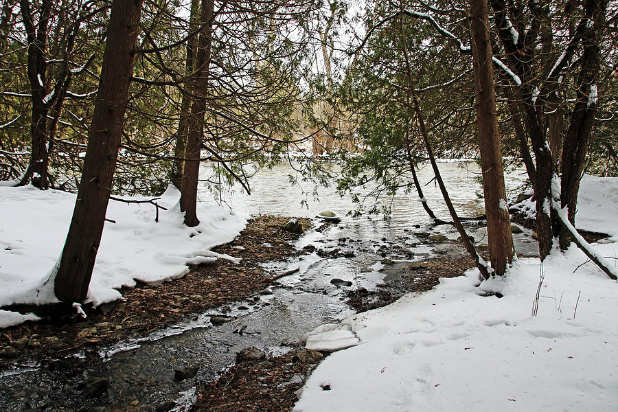 Winter Creek II Photograph by Debbie Oppermann