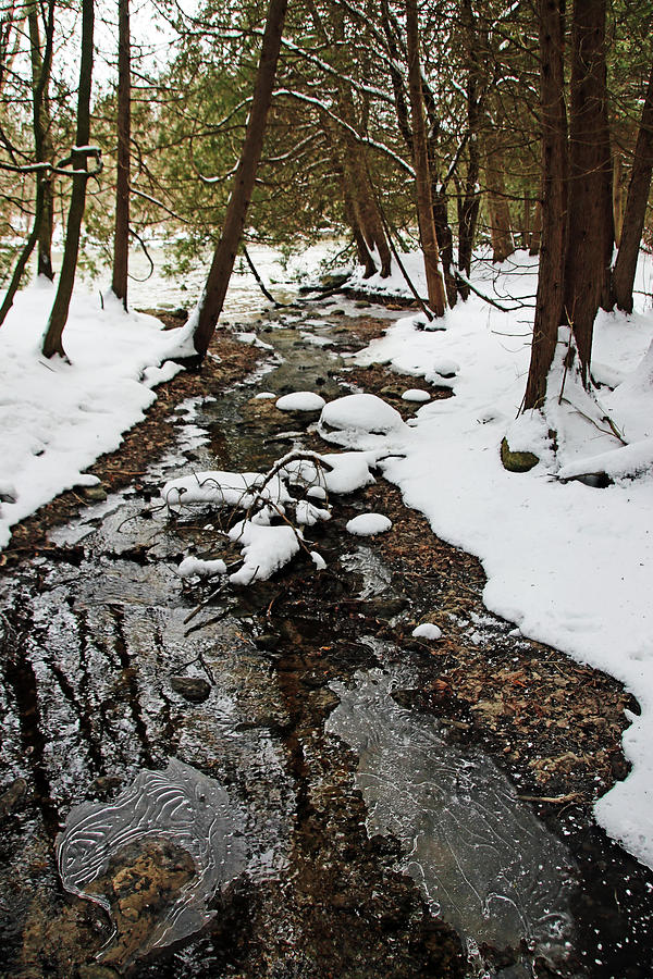 Winter Creek III Photograph by Debbie Oppermann