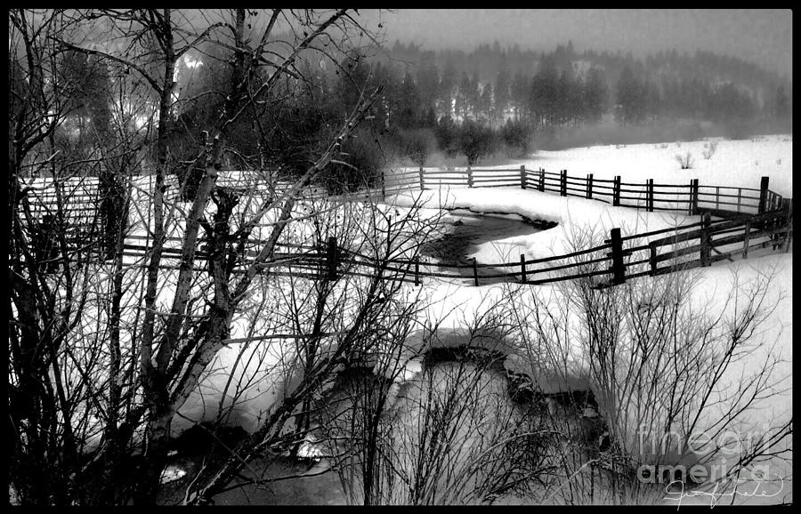 Winter Creek Photograph by Jennifer Lake