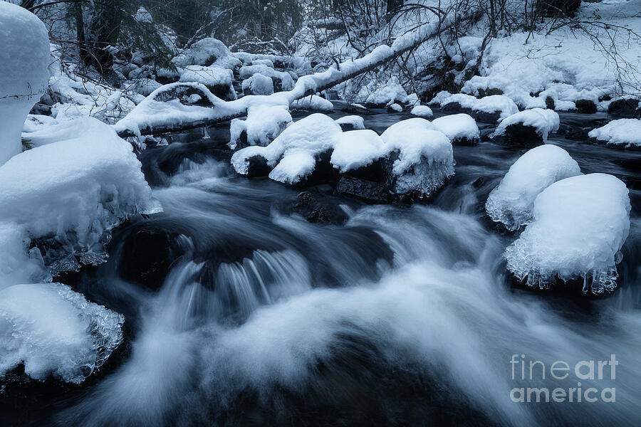 Winter Creek Photograph by Masako Metz