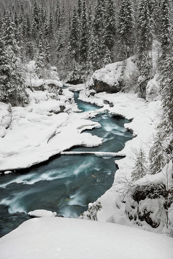 Winter Creek Puzzle Photograph by Scott Slone