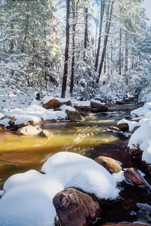 Winter Creek  Photograph by Saija Lehtonen