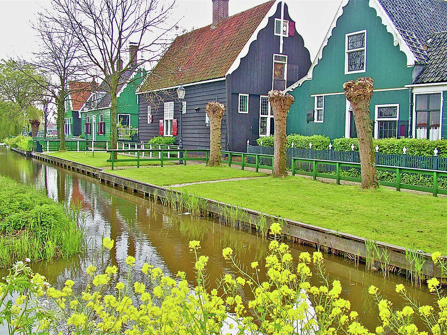 Winter Cress and Homes in Zwanse Schans, Netherlands Photograph by Ruth Hager