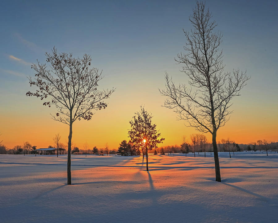 Winter Dawn Photograph by Dan Sproul