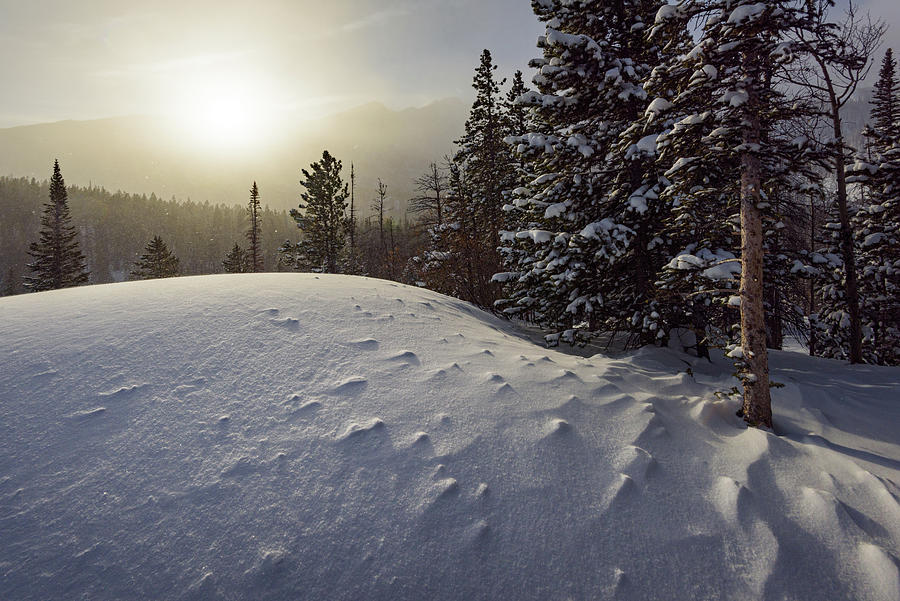 Winter Dawn in the Rockies Photograph by Kristen Wilkinson