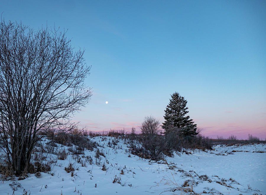 Winter Photograph - Winter Dawn With Moon by Phil And Karen Rispin