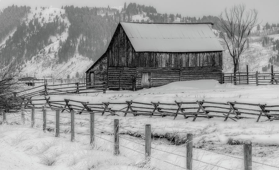 Winter Day at the Hansen Homestead, Black and White Photograph by Marcy Wielfaert