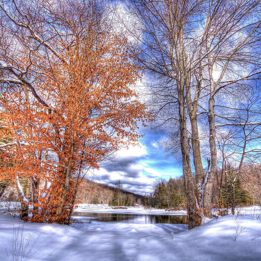 Winter Day in the Adirondacks Photograph by David Patterson