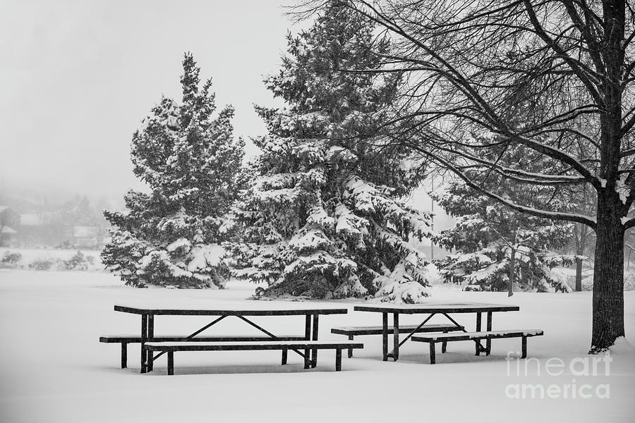 Winter Day Photograph by Jon Burch Photography